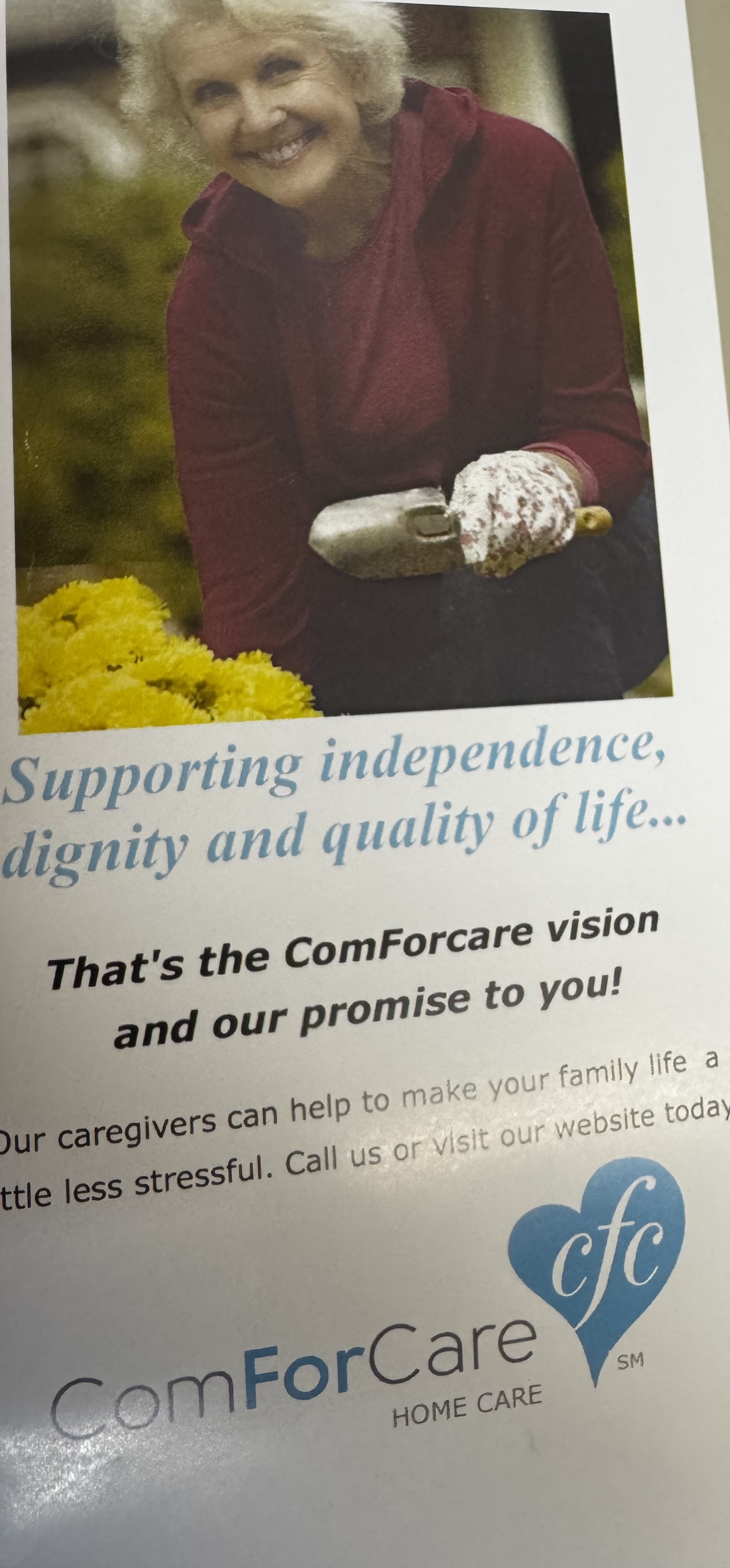 Executive Director of Medicaid Programs